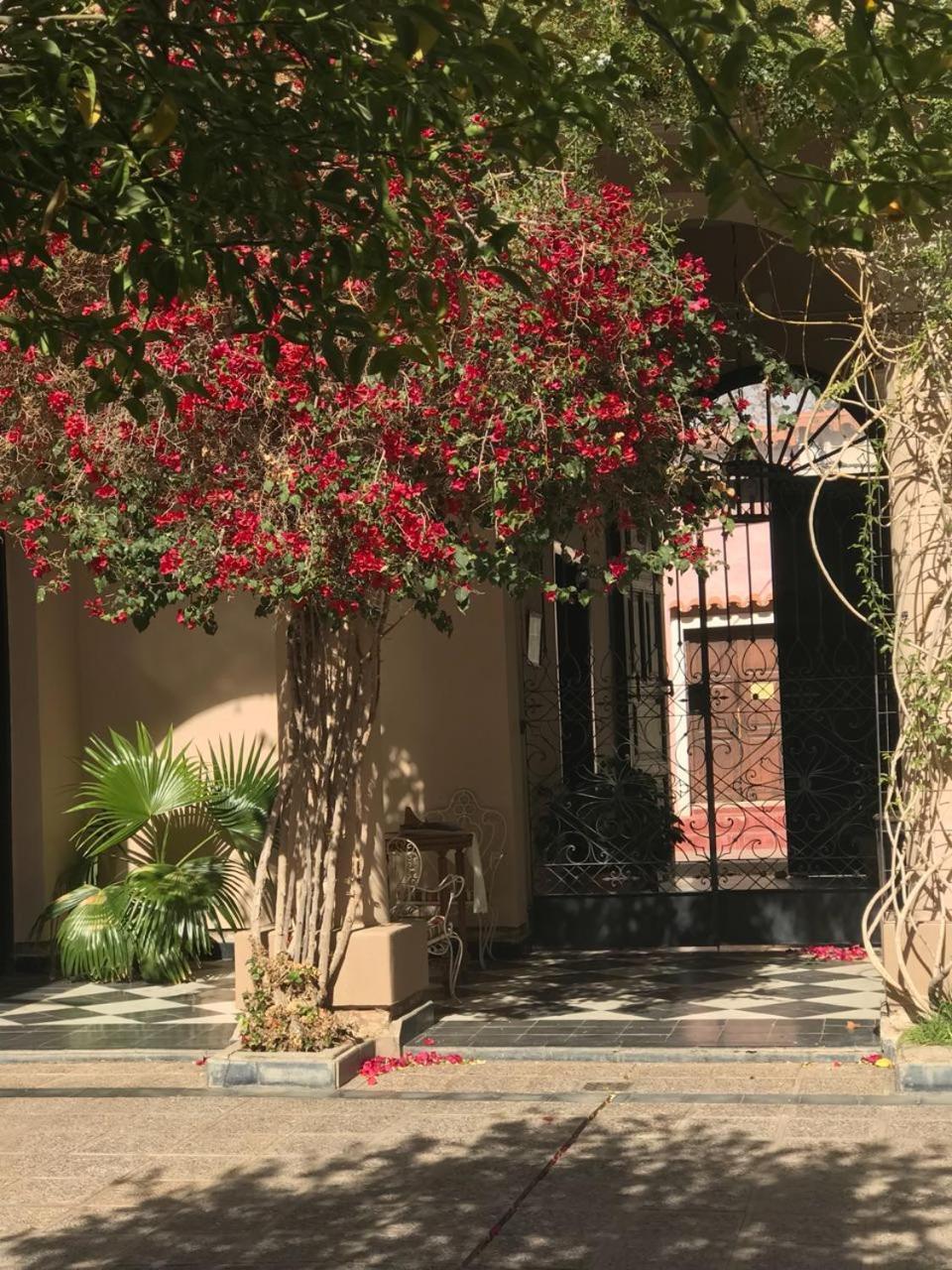 Vieja Posada Hotel Historico Cafayate Exterior photo